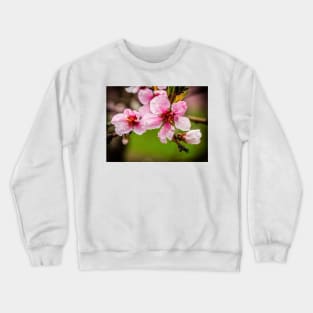 Peach Blossoms Crewneck Sweatshirt